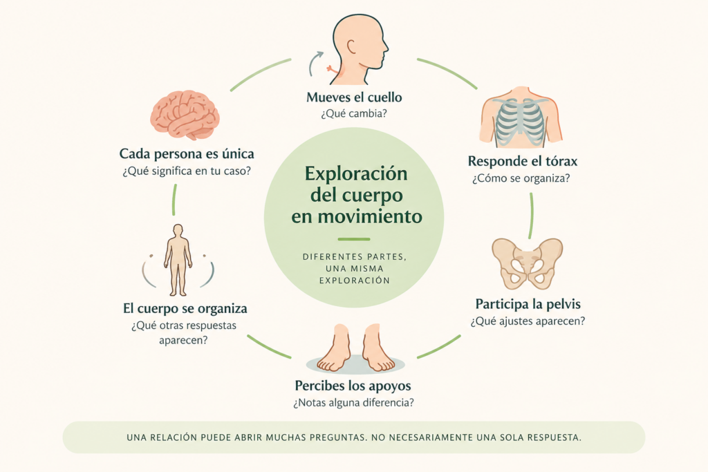 Relación entre cuello, tórax, pelvis y pies durante la exploración del movimiento