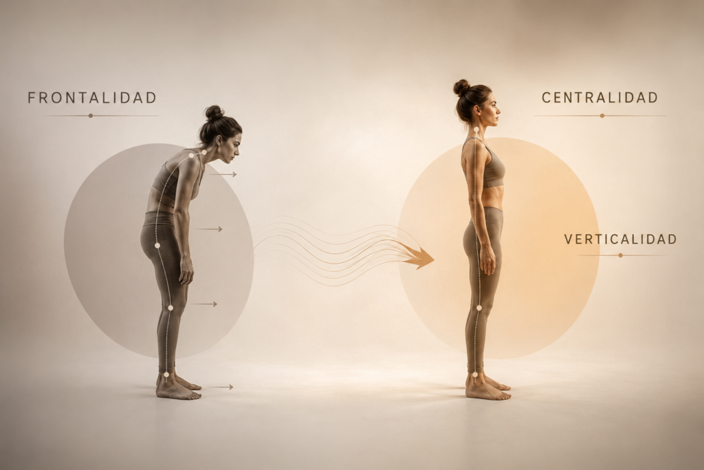 Comparación visual entre una postura en frontalidad y una postura más organizada y vertical, mostrando cómo la centralidad corporal puede reducir la sobrecarga lumbar.